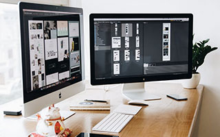 植物智-中国植物物种信息系统